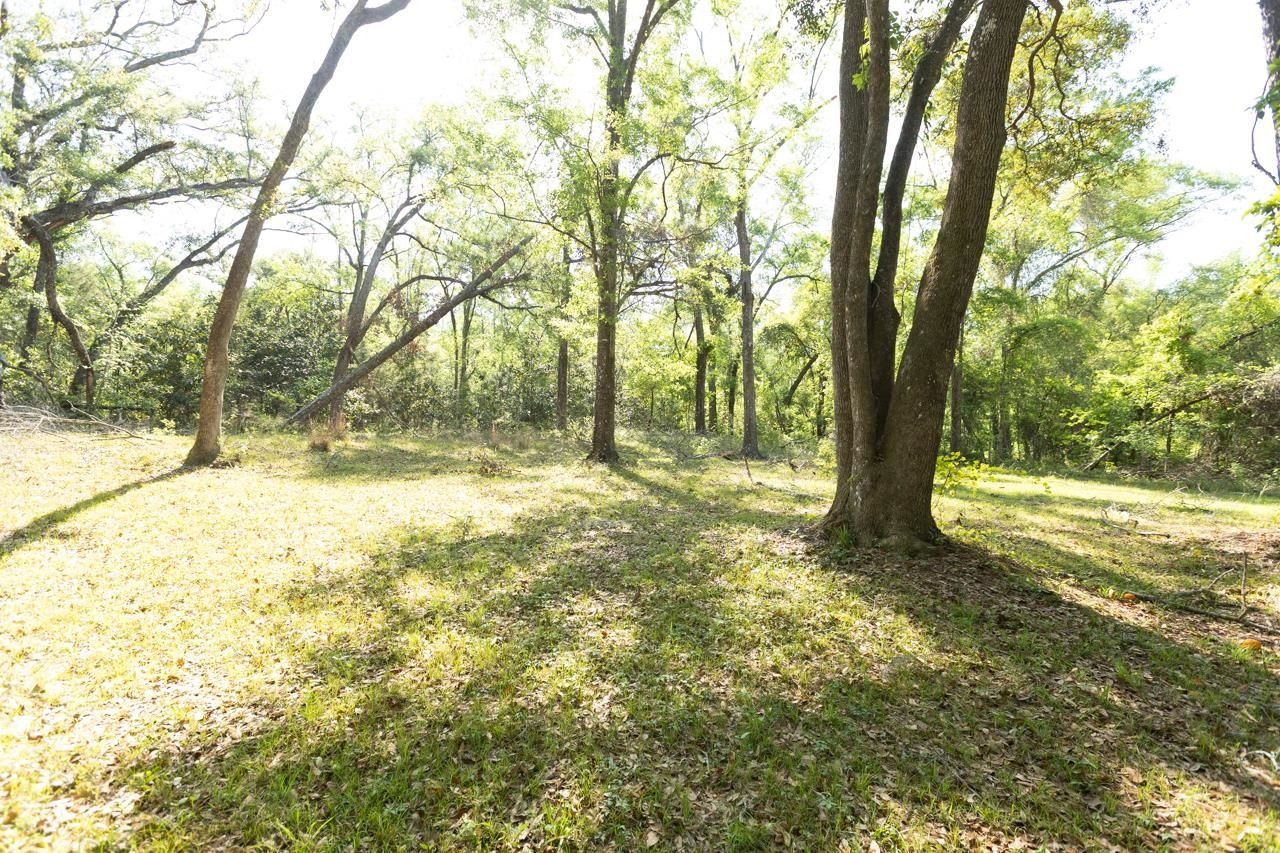 629 Smokehouse Farms Drive, Greenville, FL 32331 Photo