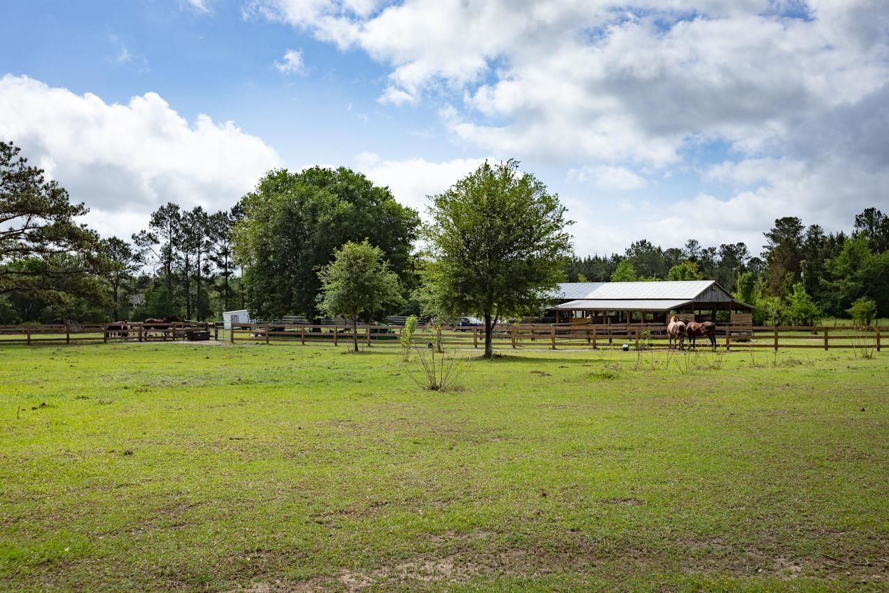 660 Whispering Hills Road , Monticello, FL 32344 Photo