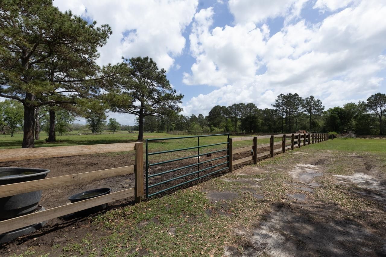 660 Whispering Hills Road , Monticello, FL 32344 Photo