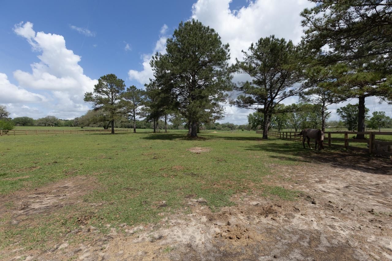 660 Whispering Hills Road , Monticello, FL 32344 Photo