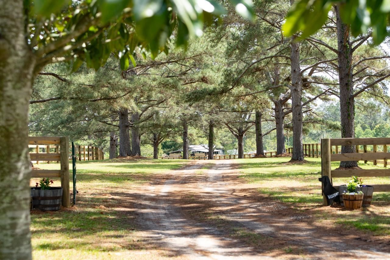 660 Whispering Hills Road , Monticello, FL 32344 Photo