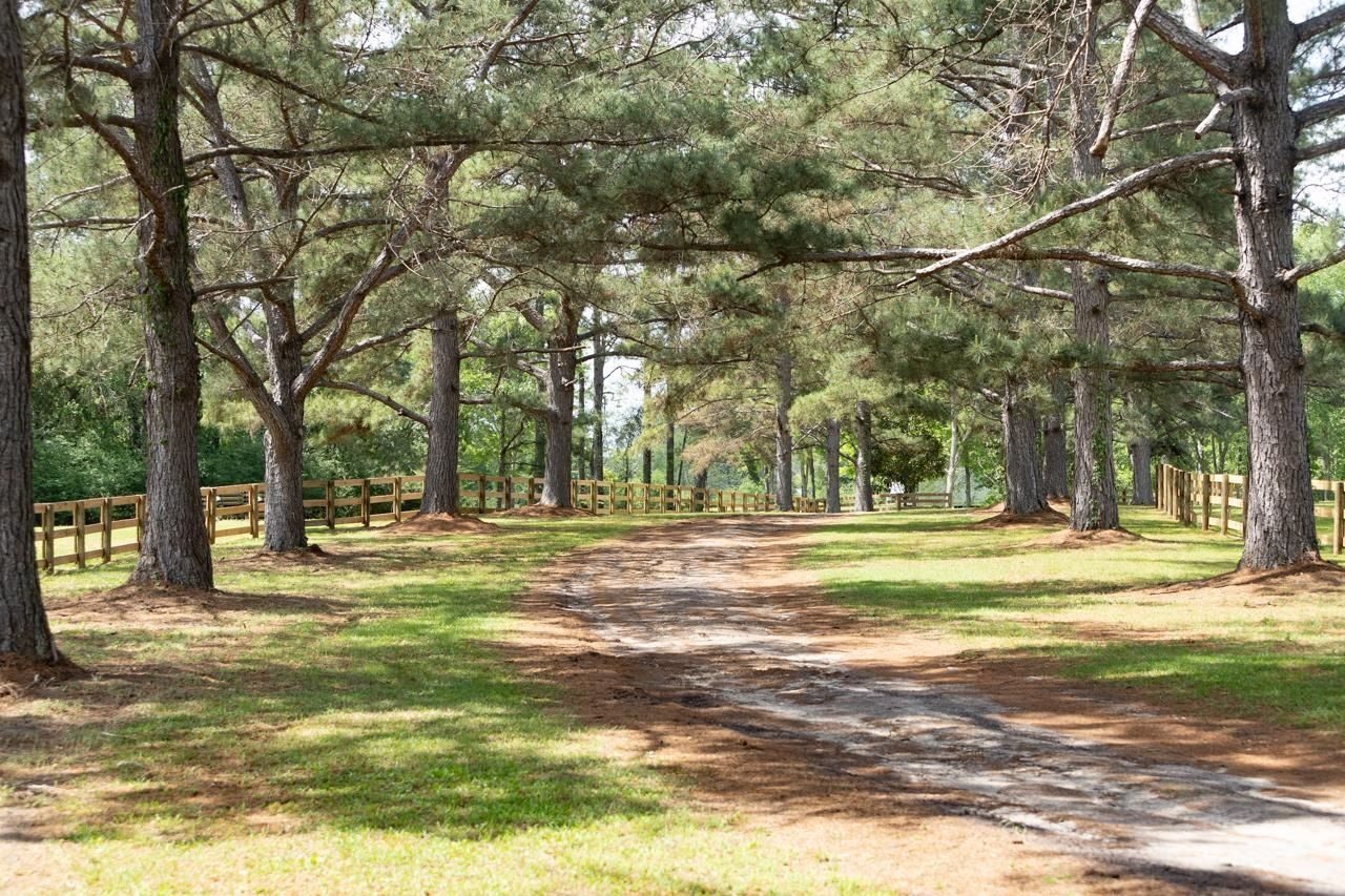 660 Whispering Hills Road , Monticello, FL 32344 Photo