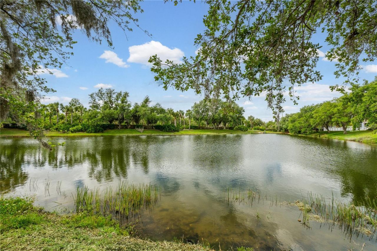 11811 Dunster Lane, Parrish, FL 34219 Photo