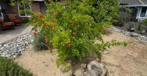 2377 Glacier Dr, Rocklin, CA 95677 Photo