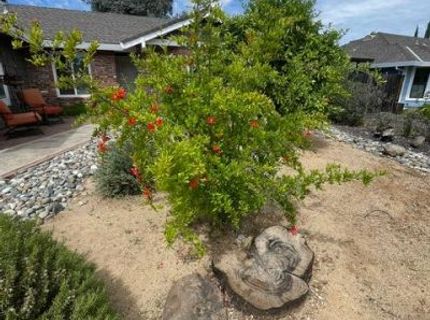 2377 Glacier Dr, Rocklin, CA 95677 Photo