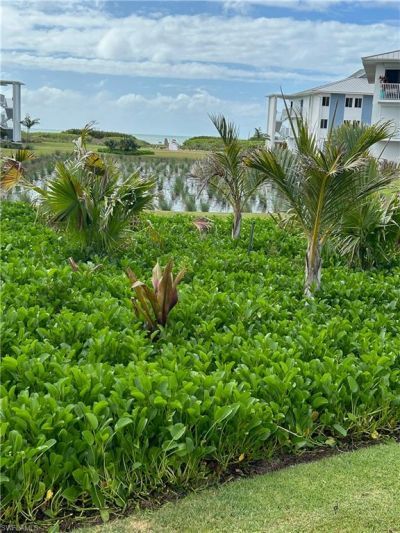 1341 Middle Gulf Dr, Unit 1A, Sanibel, FL 33957 Photo