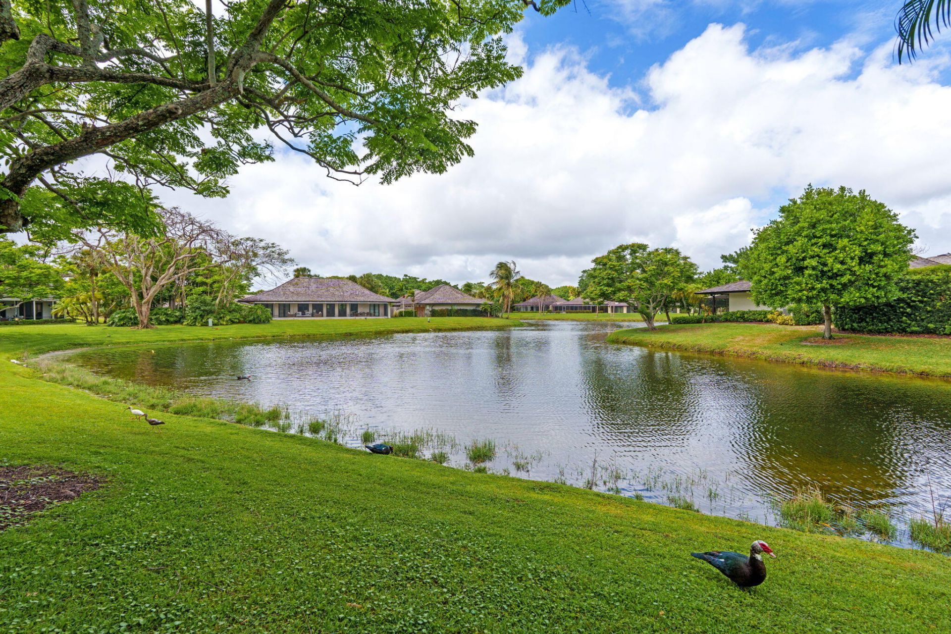 11830 Pebblewood Drive, Unit 101, Wellington, FL 33414 Photo