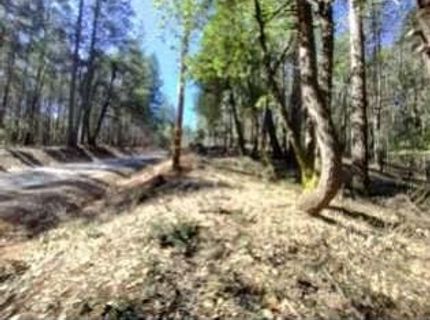 13928 Manion Canyon Rd, Grass Valley, CA 95945 Photo