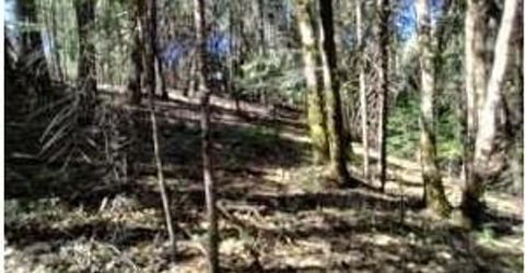 13928 Manion Canyon Rd, Grass Valley, CA 95945 Photo