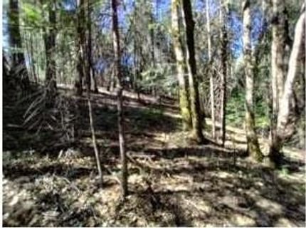 13928 Manion Canyon Rd, Grass Valley, CA 95945 Photo