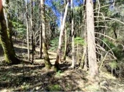 13928 Manion Canyon Rd, Grass Valley, CA 95945 Photo