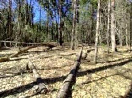 13928 Manion Canyon Rd, Grass Valley, CA 95945 Photo