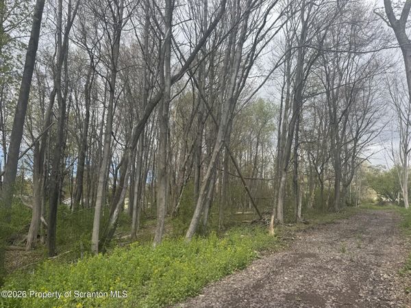 Fern Street, Clarks Summit, PA 18411