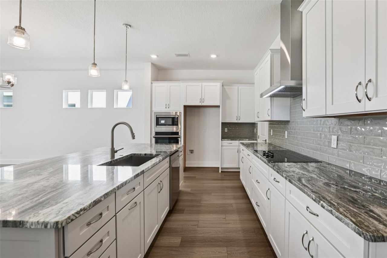 10757 Torchwood Sea Way, San Antonio, FL 33576 Photo