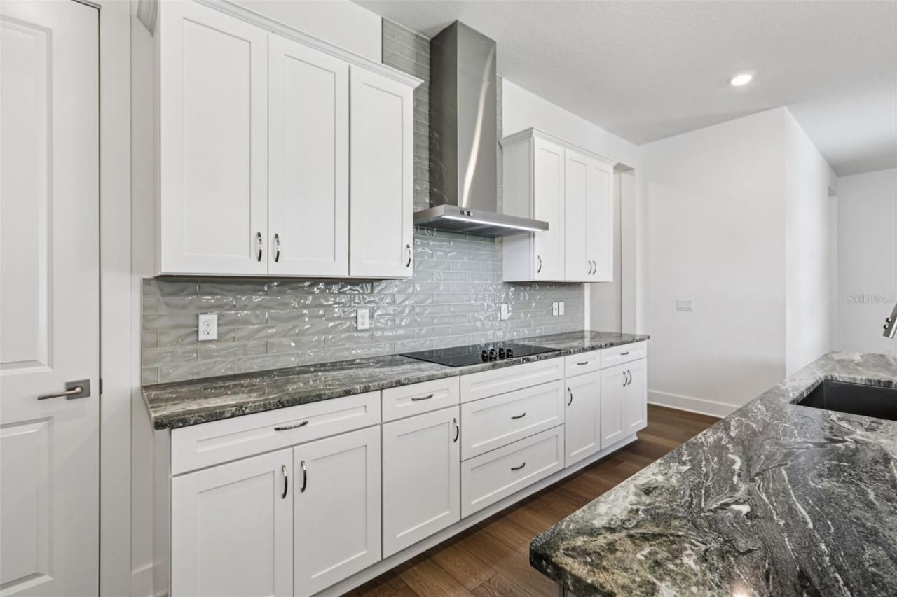 10757 Torchwood Sea Way, San Antonio, FL 33576 Photo