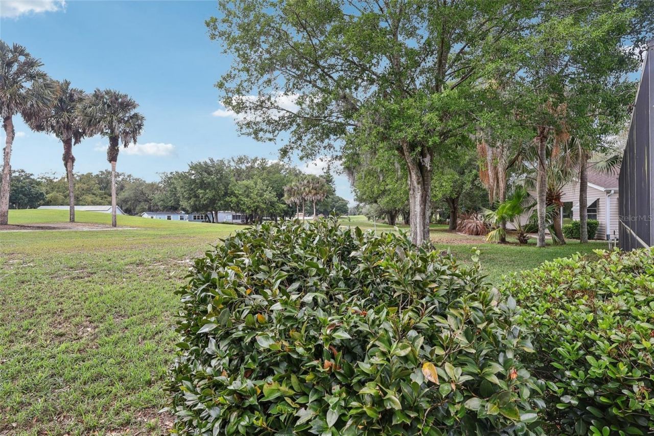 25723 Belle Alliance , Leesburg, FL 34748 Photo