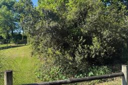 928 Valley Street photo 4