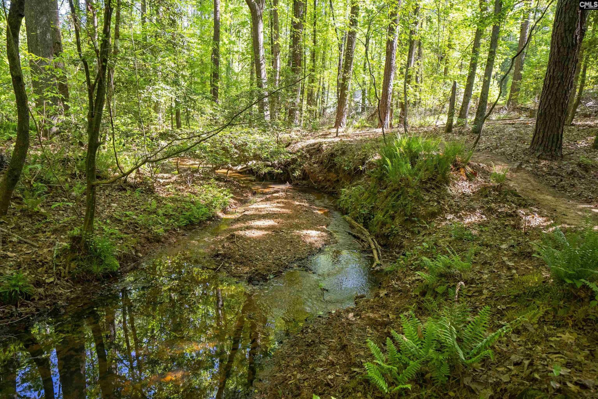 102 Warner Woods Road Photo 37