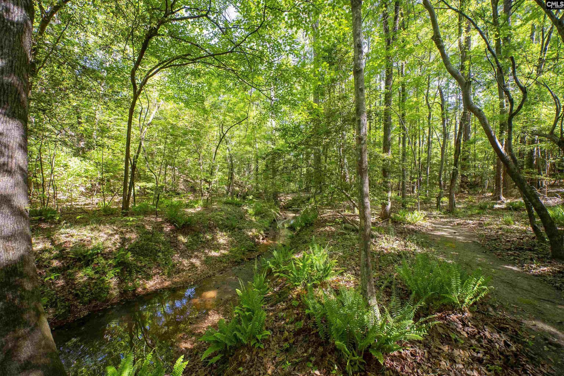 102 Warner Woods Road Photo 38