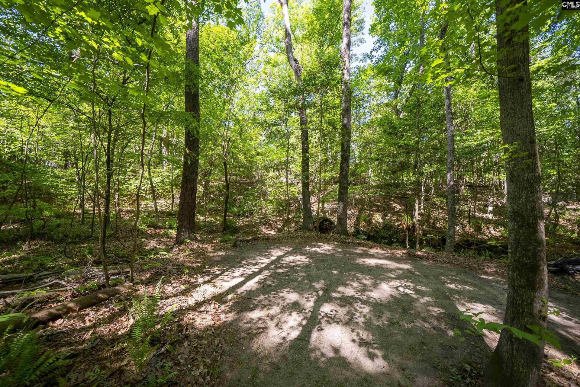 102 Warner Woods Road Photo 39