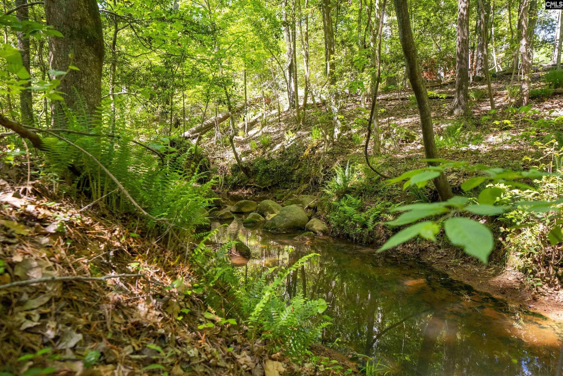 102 Warner Woods Road Photo 40