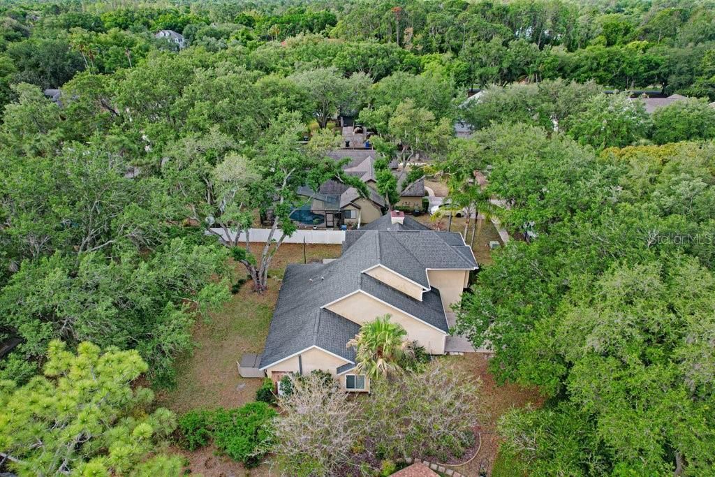 6214 Farthing Street , Tampa, FL 33647 Photo