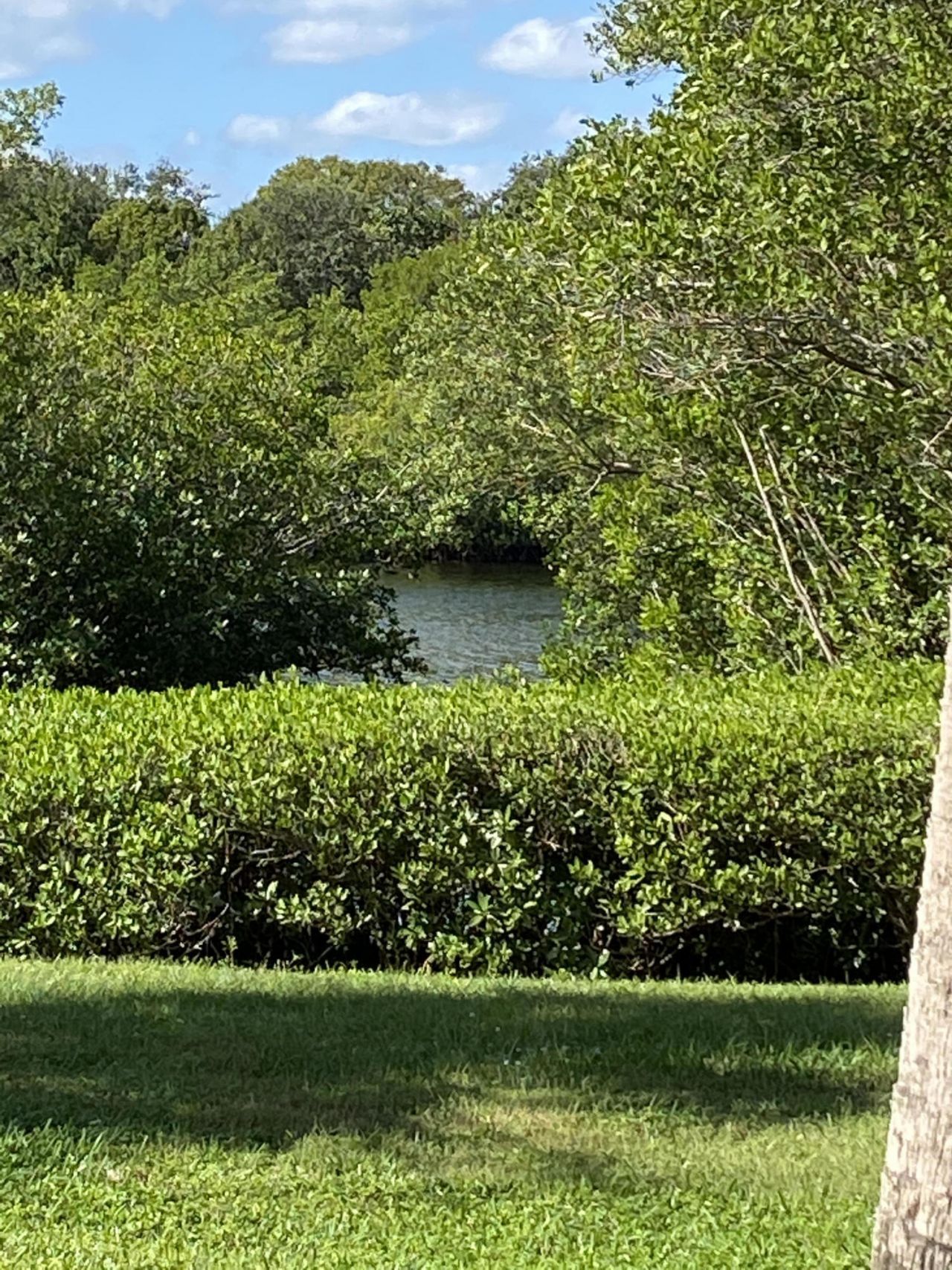 6183 Riverwalk Lane, Unit 3, Jupiter, FL 33458 Photo