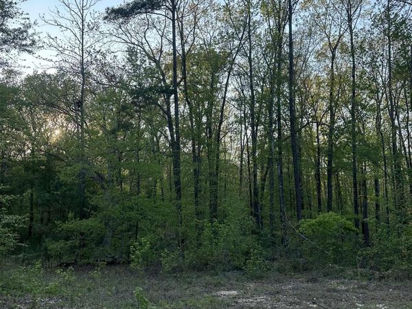 3923 Adelia Lane , Traskwood, AR 72167