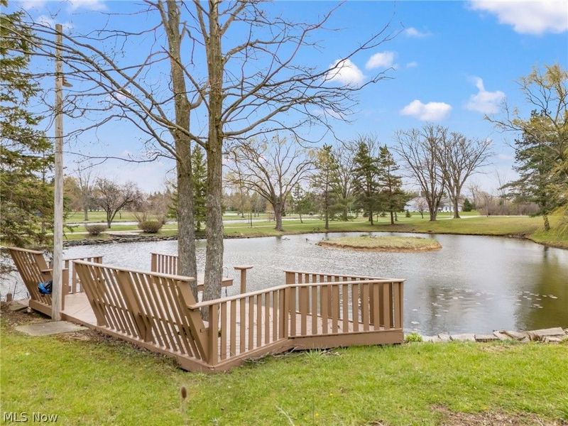 4747 Sharon Copley Road, Medina, OH 44256 Photo 48