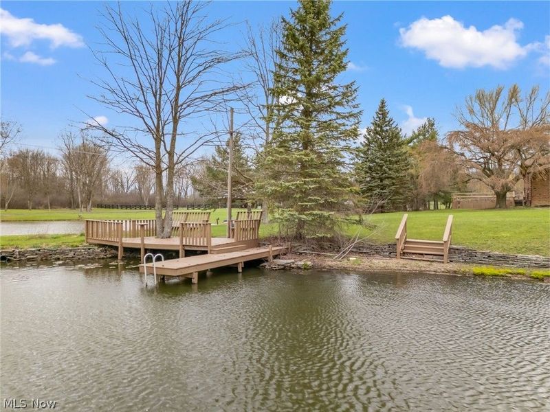 4747 Sharon Copley Road, Medina, OH 44256 Photo 50