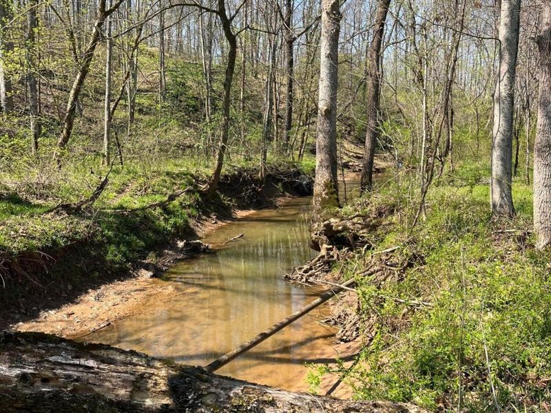 7865 Stone Castle Road, Athens, OH 45701 Photo 39