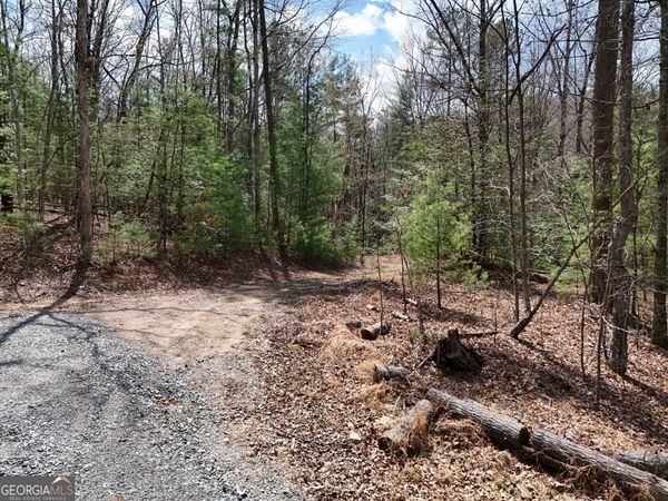 LT 117 Laurel Trace, Blue Ridge, GA 30513