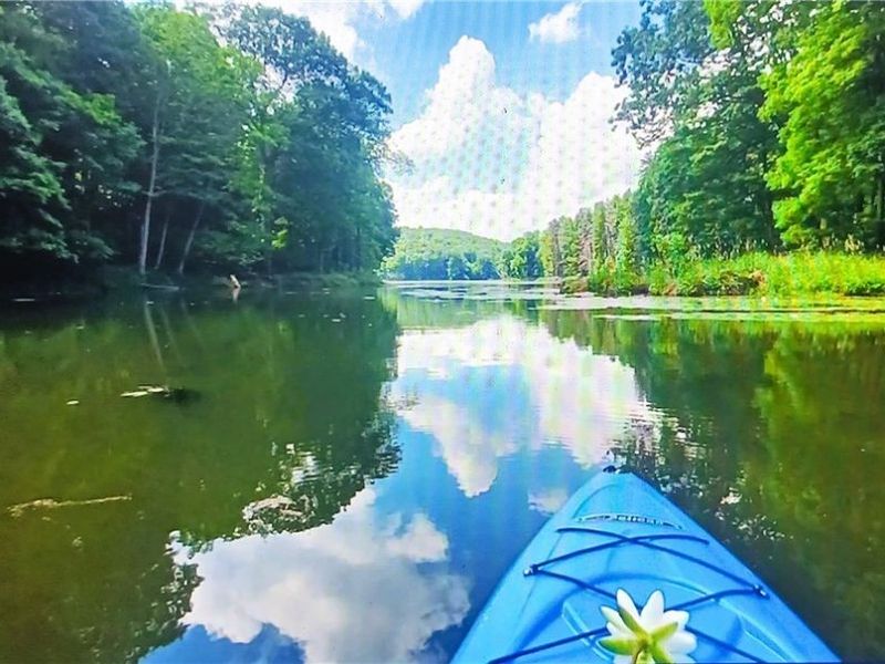 108 E Main Street, Deersville, OH 44693 Photo 8