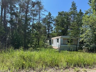 1024 Pine Ridge Street, Mentor Twp, MI 48647