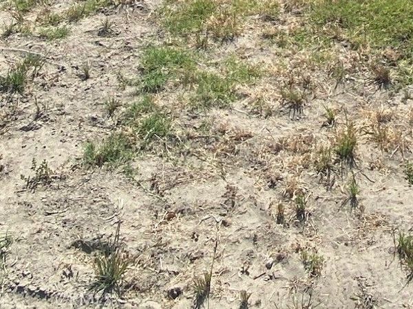 1 A , Ridgecrest, CA 93555