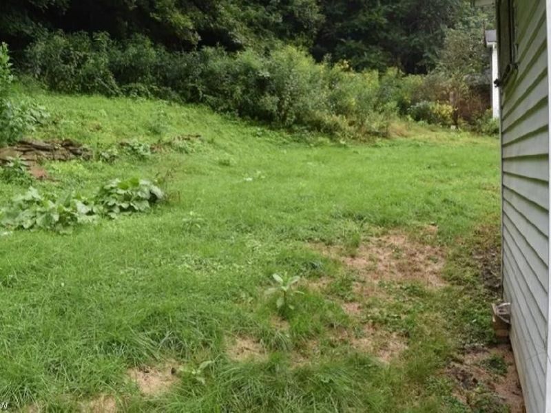 58640 Charles Street, Martins Ferry, OH 43935 Photo 25