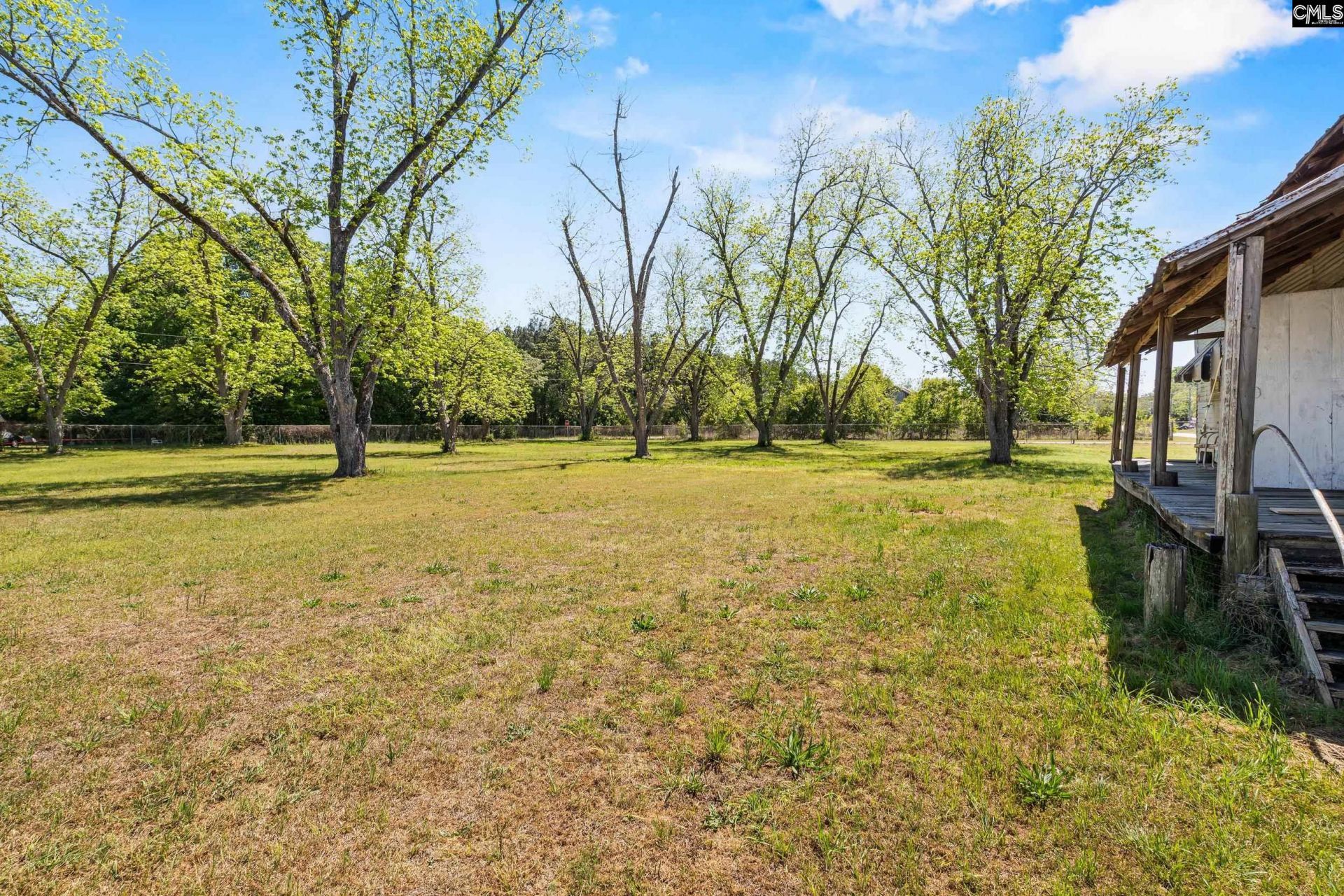 311 Camelia Street  Photo 45