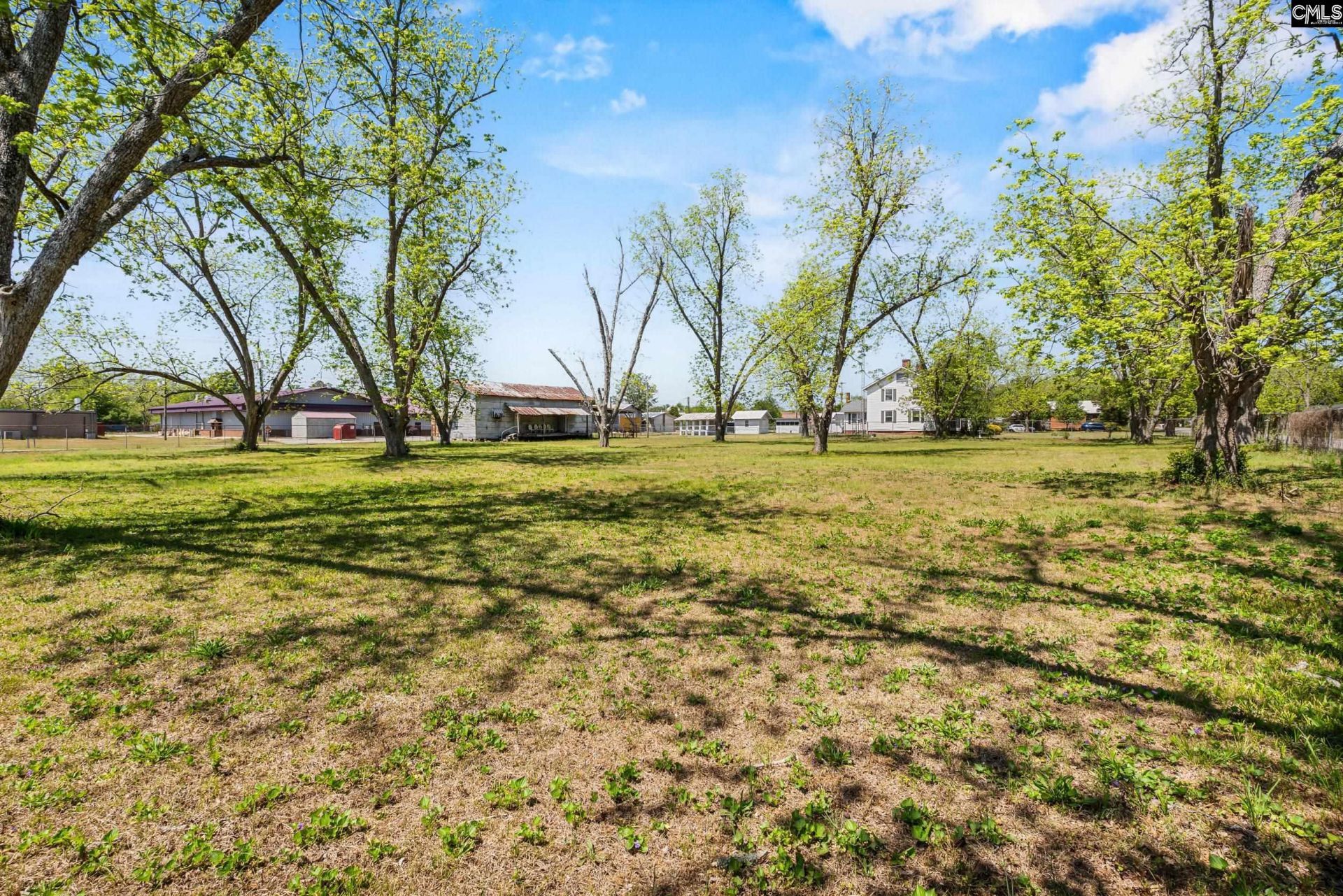 311 Camelia Street  Photo 46