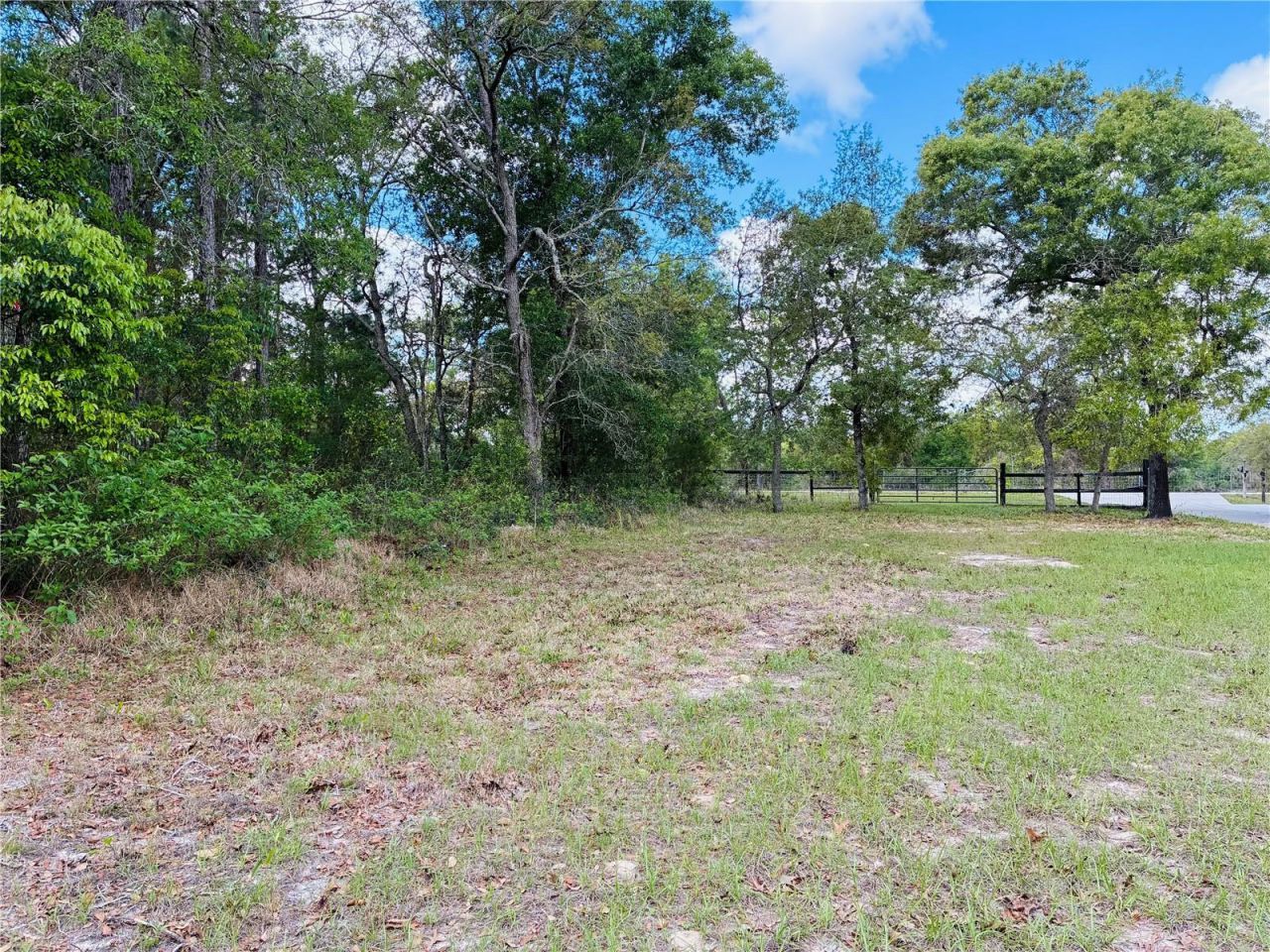 8390 Langworthy Drive, Brooksville, FL 34613 Photo