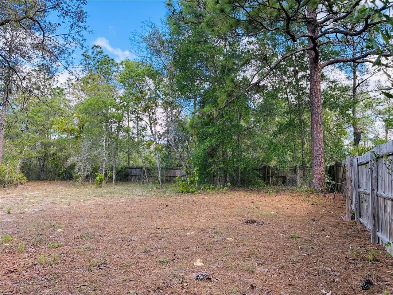8390 Langworthy Drive, Brooksville, FL 34613 Photo