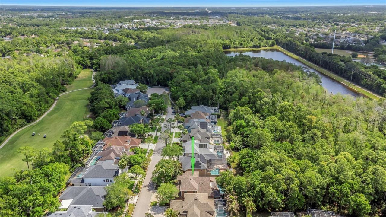 10422 Greendale Drive, Tampa, FL 33626 Photo