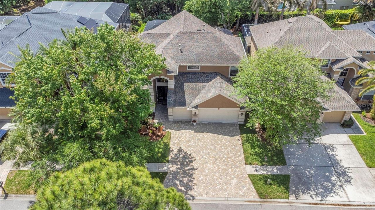 10422 Greendale Drive, Tampa, FL 33626 Photo