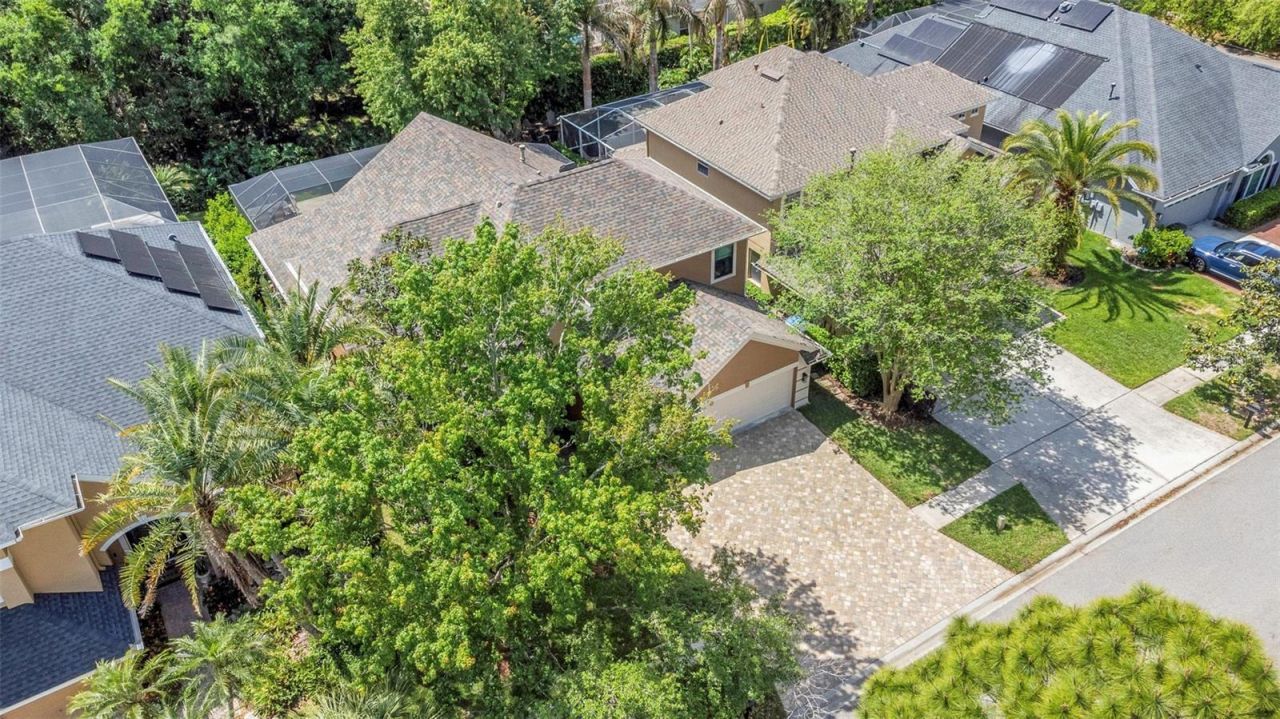 10422 Greendale Drive, Tampa, FL 33626 Photo