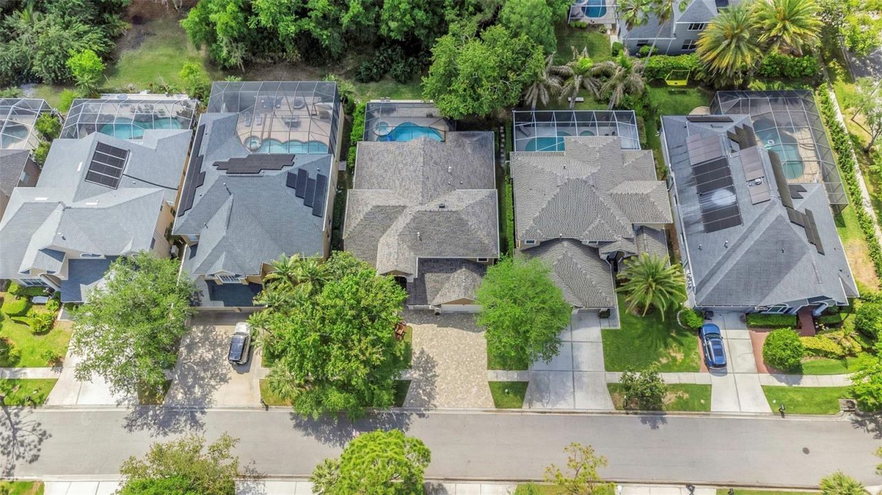 10422 Greendale Drive, Tampa, FL 33626 Photo