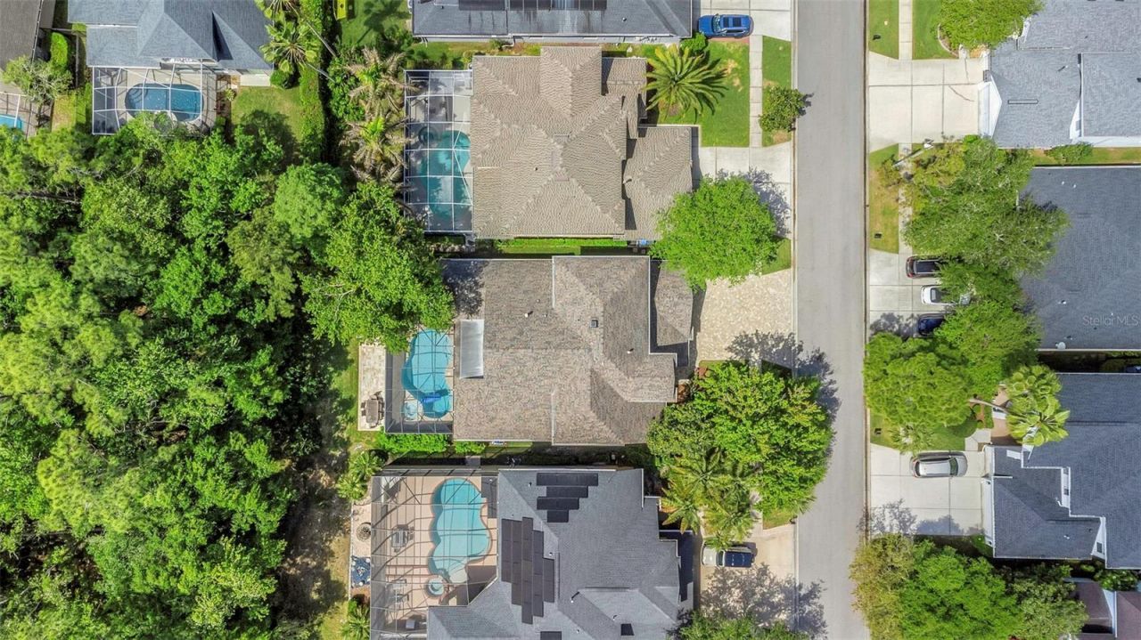 10422 Greendale Drive, Tampa, FL 33626 Photo