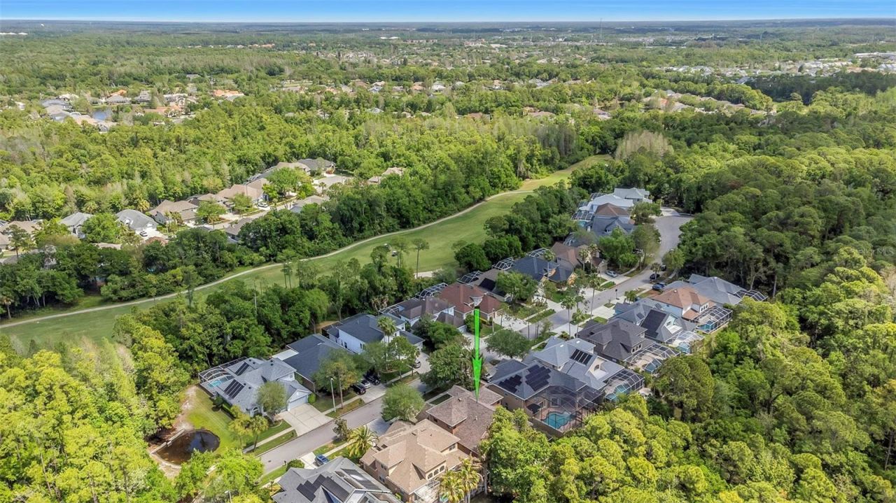 10422 Greendale Drive, Tampa, FL 33626 Photo