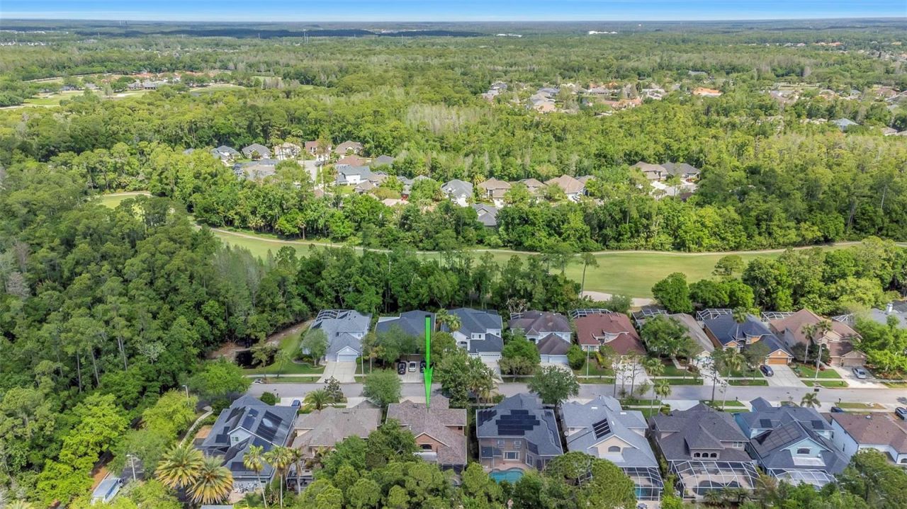 10422 Greendale Drive, Tampa, FL 33626 Photo