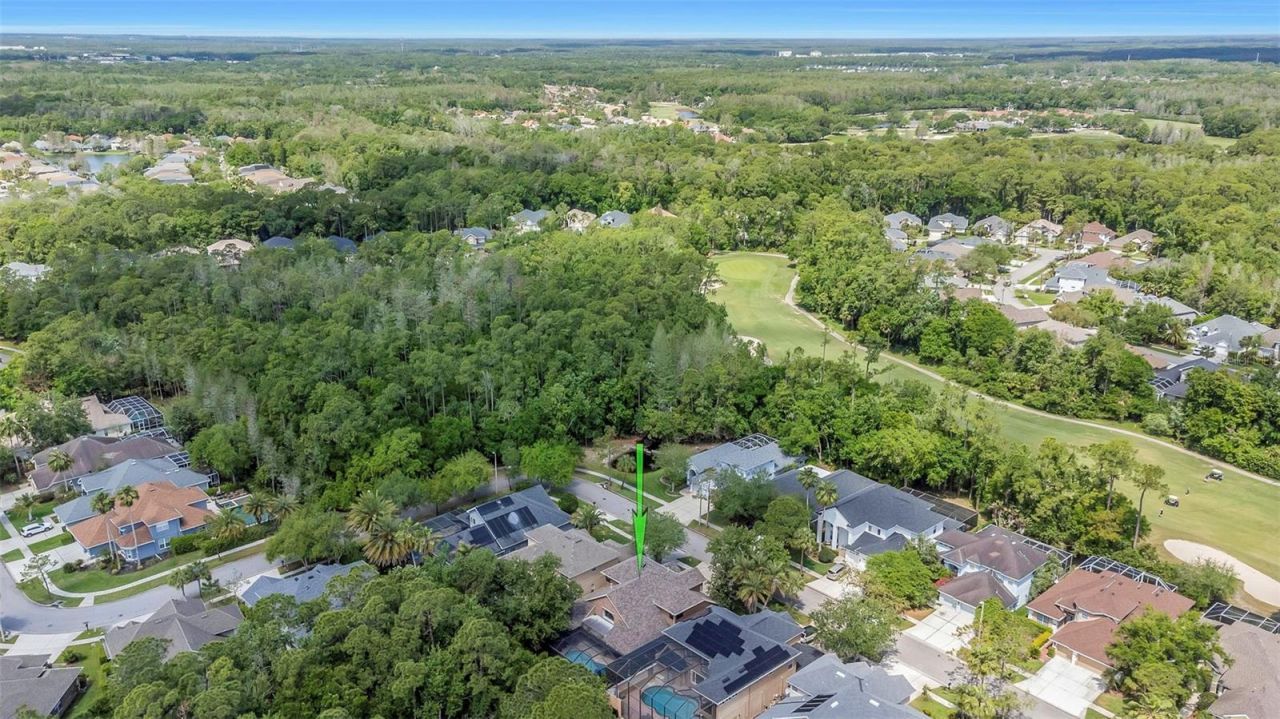 10422 Greendale Drive, Tampa, FL 33626 Photo