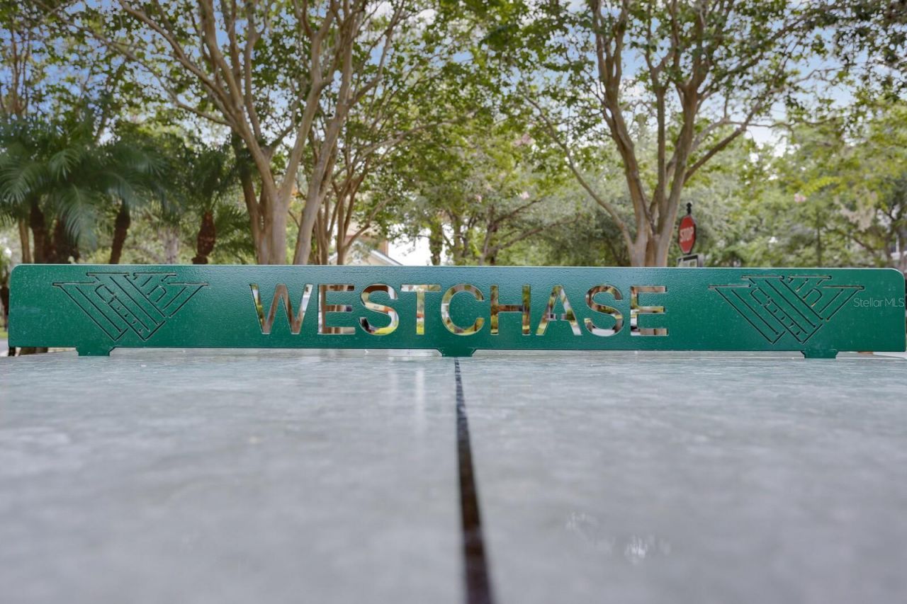 10422 Greendale Drive, Tampa, FL 33626 Photo