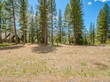 118 Saddle Ridge Road, Clio, CA 96106 Photo